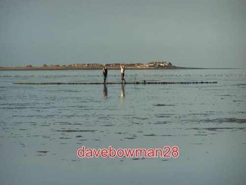 Photo bait diggers south - photo,
