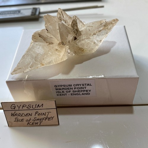 Crystalline gypsum warden - :,