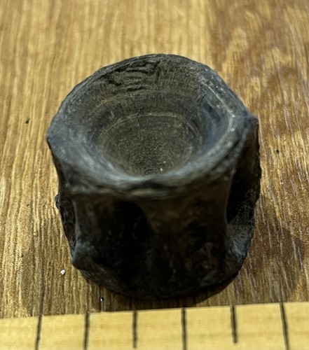 Eocene fish vertebra fossil - fish,